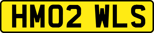 HM02WLS