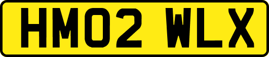 HM02WLX