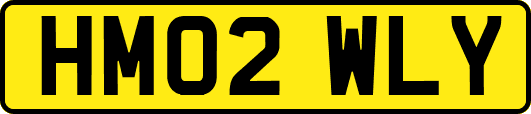 HM02WLY