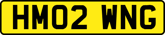 HM02WNG