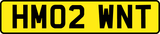 HM02WNT