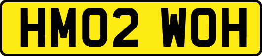 HM02WOH