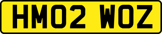 HM02WOZ