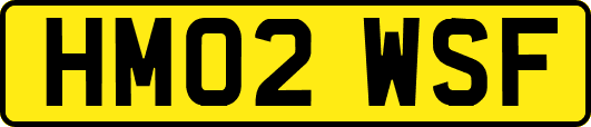 HM02WSF