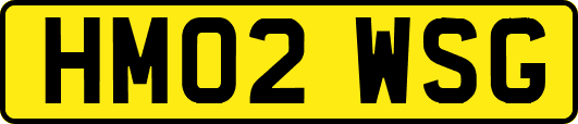 HM02WSG