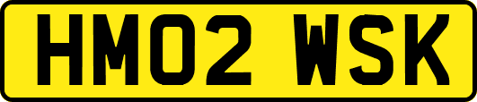 HM02WSK