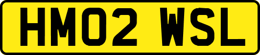 HM02WSL