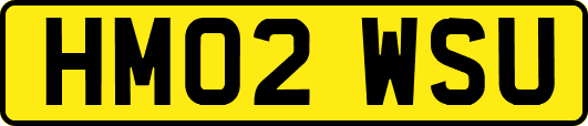 HM02WSU