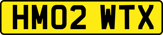 HM02WTX