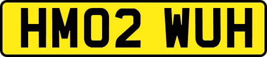 HM02WUH