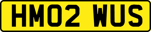 HM02WUS