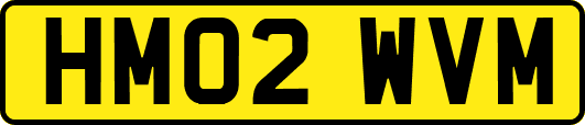 HM02WVM