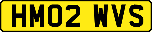 HM02WVS
