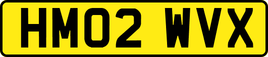HM02WVX