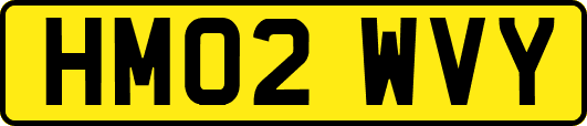 HM02WVY
