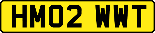 HM02WWT