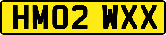 HM02WXX