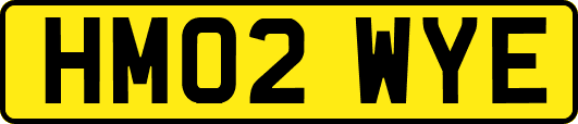 HM02WYE