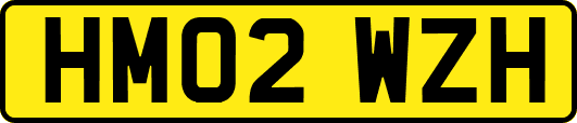HM02WZH