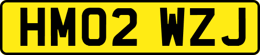 HM02WZJ