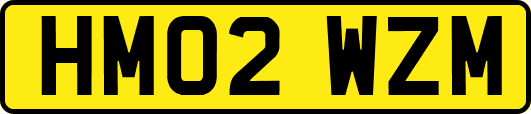HM02WZM