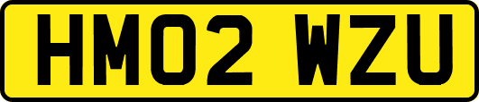 HM02WZU