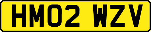 HM02WZV