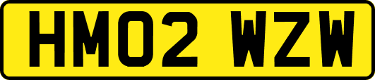 HM02WZW