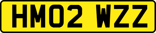 HM02WZZ