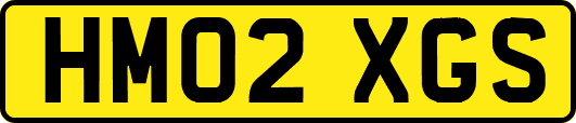 HM02XGS
