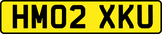HM02XKU