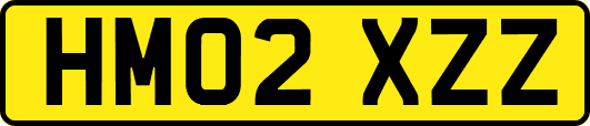 HM02XZZ