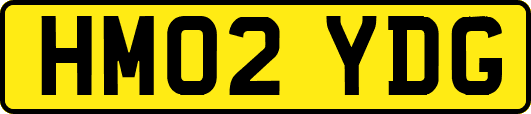 HM02YDG