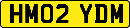 HM02YDM