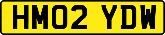 HM02YDW