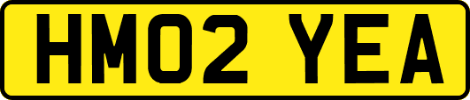 HM02YEA