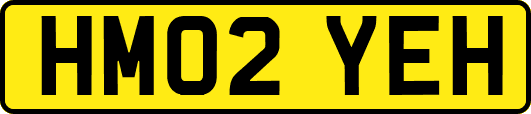 HM02YEH