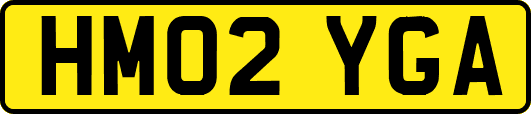 HM02YGA