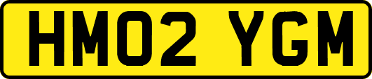 HM02YGM