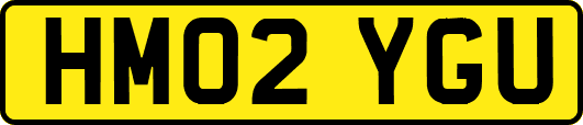 HM02YGU