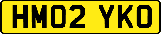 HM02YKO