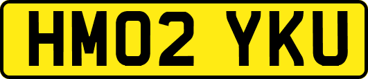 HM02YKU