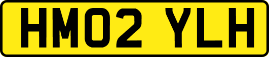 HM02YLH