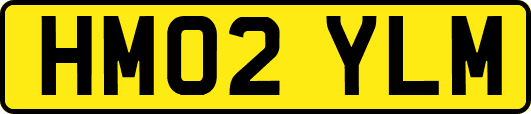 HM02YLM