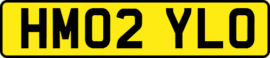 HM02YLO