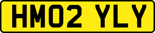 HM02YLY