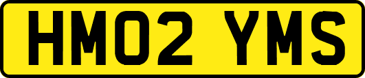 HM02YMS