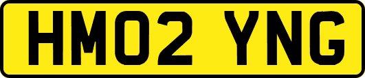 HM02YNG