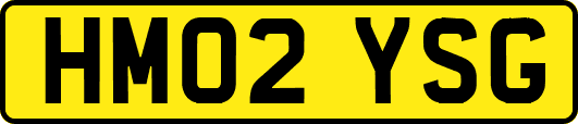 HM02YSG