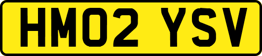 HM02YSV